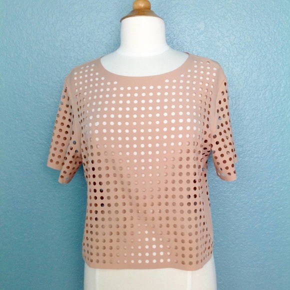 Lucy Paris Blush Laser Cut Blouse - Picture 1 of 3
